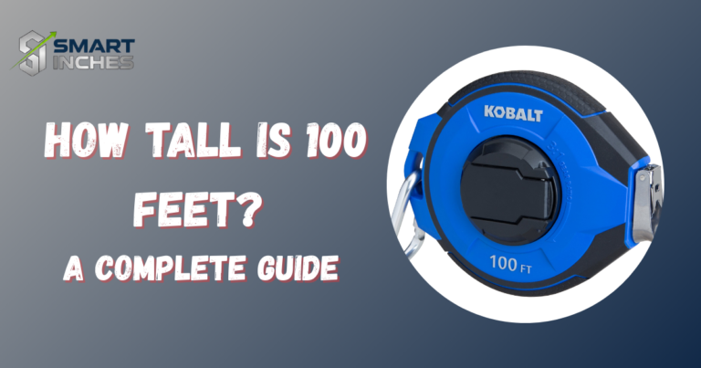 How Tall Is 100 Feet