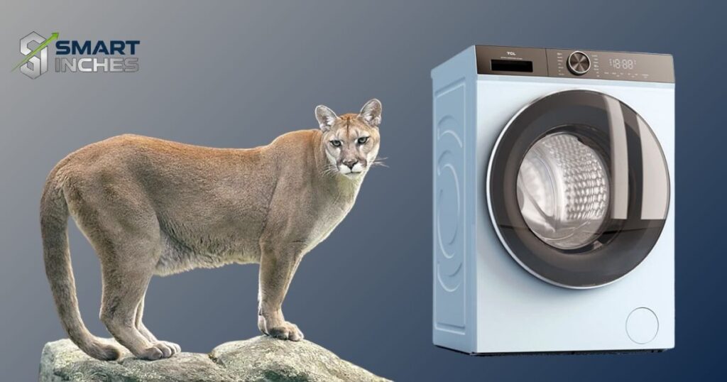 Things That Weigh 70 Kg