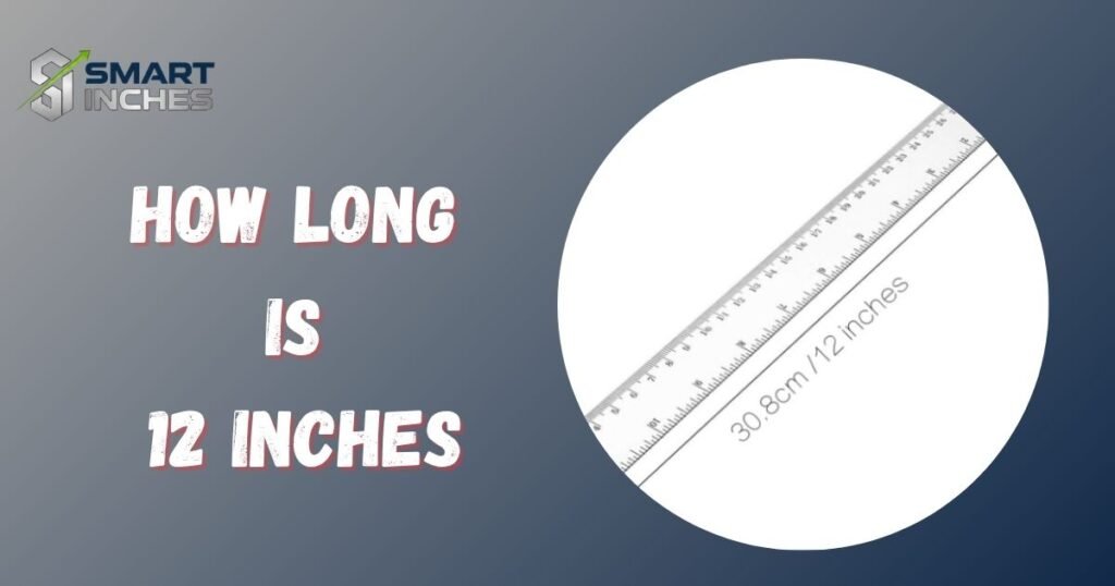 How Long Is 12 Inches