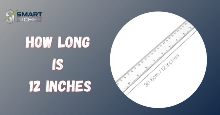 How Long Is 12 Inches