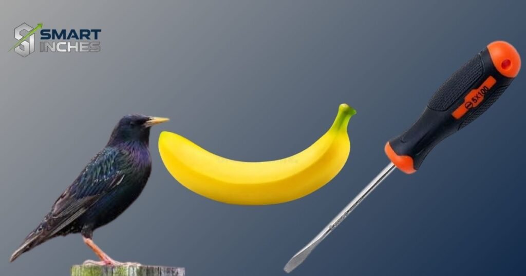 Things That Are 8 Inches Long