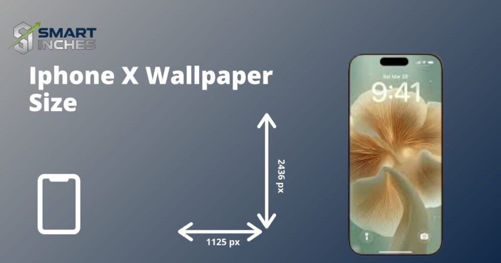 size of an iphone wallpaper