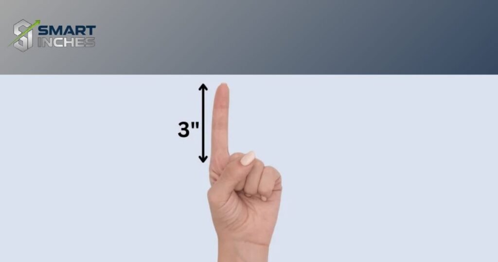 What does 3 Inches Look Like